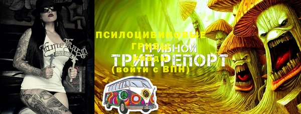 apvp Абаза