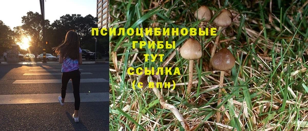 apvp Абаза