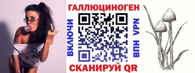 дарк нет формула  Харабали  Галлюциногенные грибы Psilocybe 